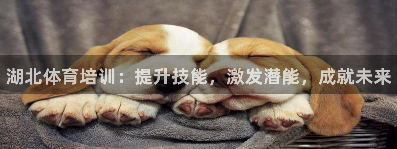 欧陆娱乐怎么注册账号登录：湖北体育培训：提升技能，激