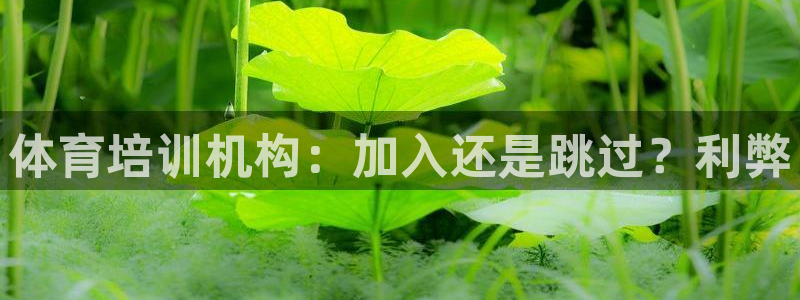 欧陆娱乐挂机项目怎么设置