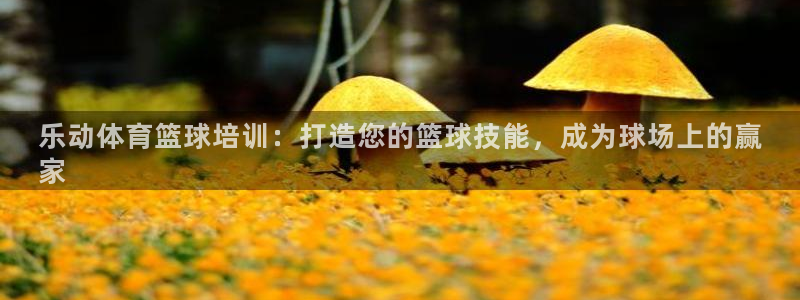 欧陆娱乐平台登陆地址是什么样的：乐动体育篮球培训：打