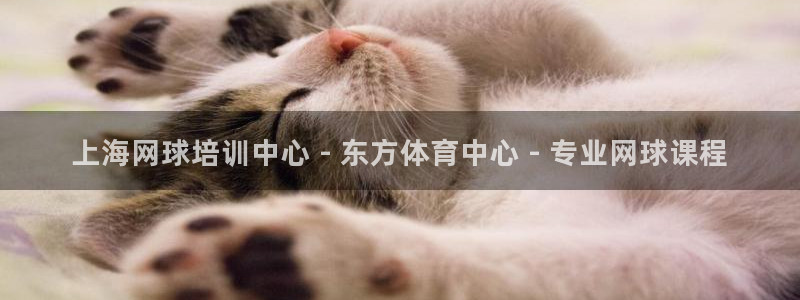 欧陆娱乐公司产品介绍大全：上海网球培训中心 - 东方