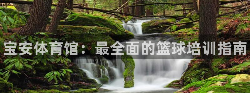 欧陆娱乐总代：宝安体育馆：最全面的篮球培训指南