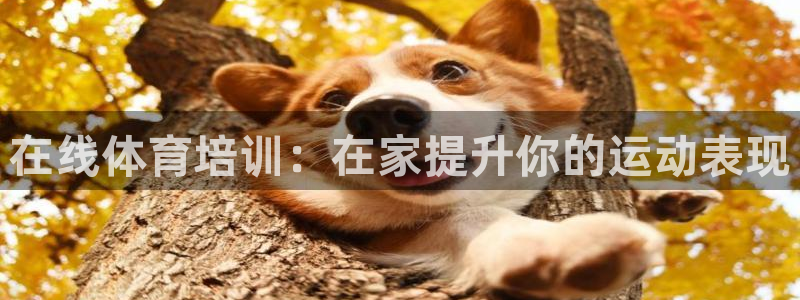 欧陆娱乐官网下载安装最新版：在线体育培训：在家提升你