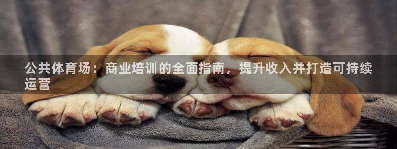 欧陆娱乐app下载：公共体育场：商业培训的全面指南，