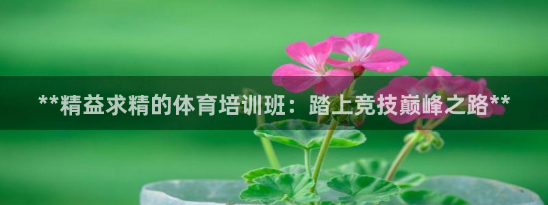 欧陆娱乐百科官网：**精益求精的体育培训班：踏上竞技