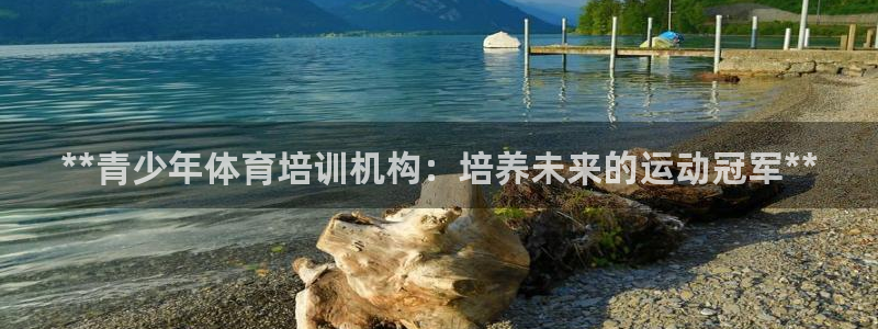 欧陆娱乐是什么：**青少年体育培训机构：培养未来的运