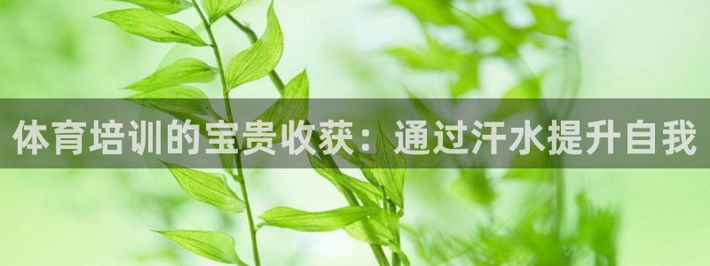 欧陆娱乐客服电话人工服务：体育培训的宝贵收获：通过汗