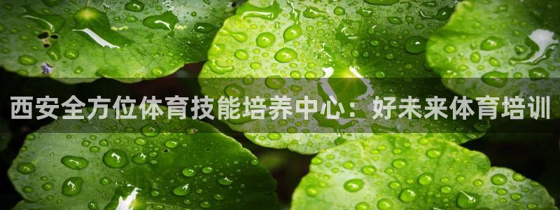欧陆娱乐平台咋样啊安全吗：西安全方位体育技能培养中心