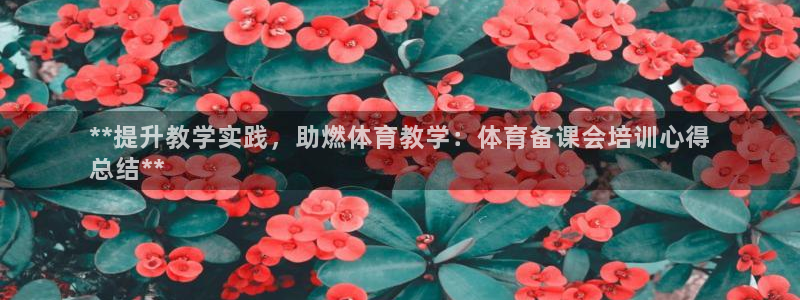 欧陆娱乐能赚钱吗现在：**提升教学实践，助燃体育教学
