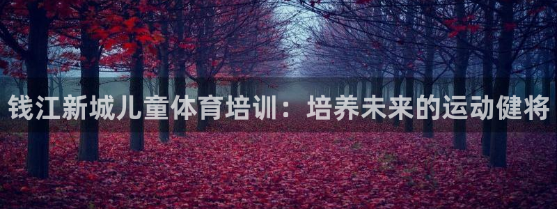 欧陆娱乐平台总代理：钱江新城儿童体育培训：培养未来的