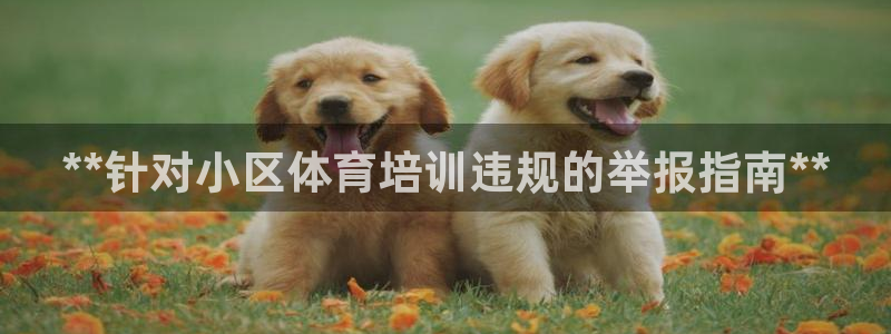 欧陆娱乐有限公司官网：**针对小区体育培训违规的举报