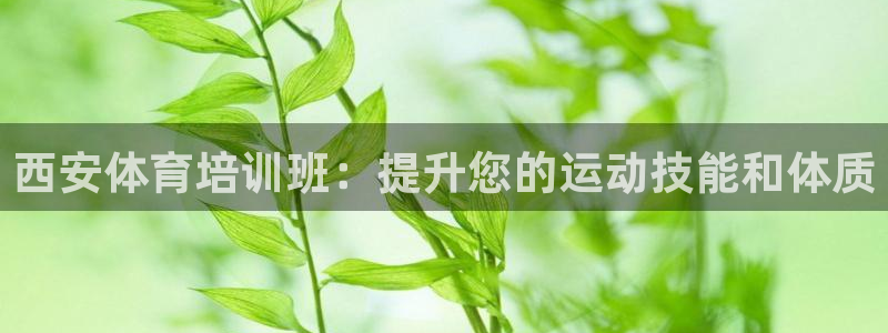 欧陆娱乐总代理：西安体育培训班：提升您的运动技能和体