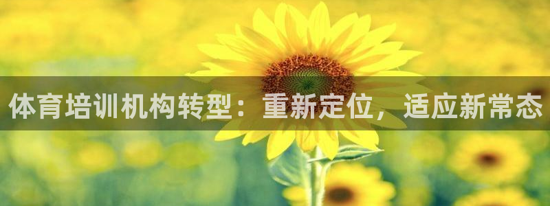 欧陆娱乐线路测速：体育培训机构转型：重新定位，适应新