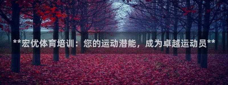 欧陆娱乐挂机怎么玩游戏：**宏优体育培训：您的运动潜