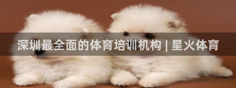 欧陆娱乐登录官网网址：深圳最全面的体育培训机构 | 