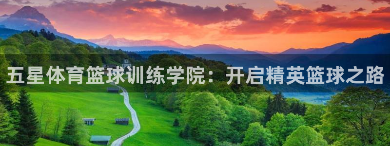 欧陆是什么平台：五星体育篮球训练学院：开启精英篮球之