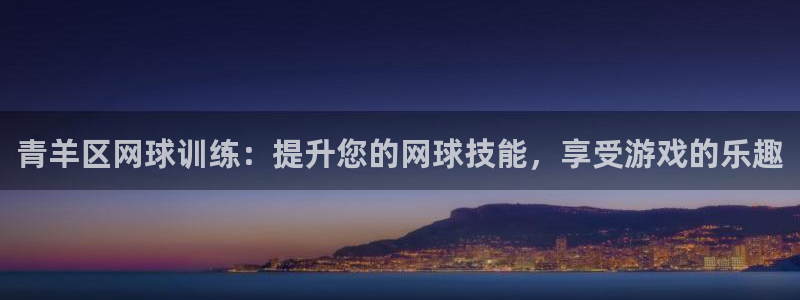 欧陆娱乐是资金盘吗：青羊区网球训练：提升您的网球技能