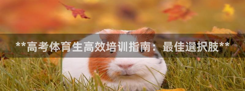 欧陆娱乐代理 贴吧怎么样：**高考体育生高效培训指南