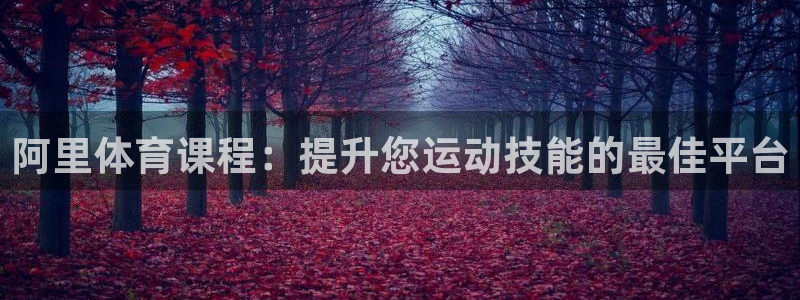 欧陆娱乐官网注册中心：阿里体育课程：提升您运动技能的