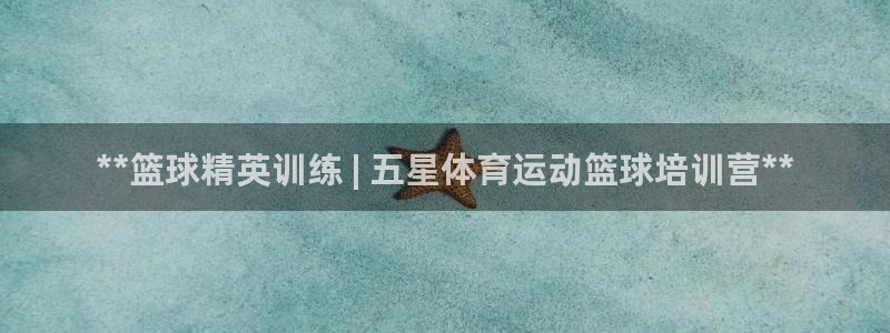 欧陆娱乐访问：**篮球精英训练 | 五星体育运动篮球