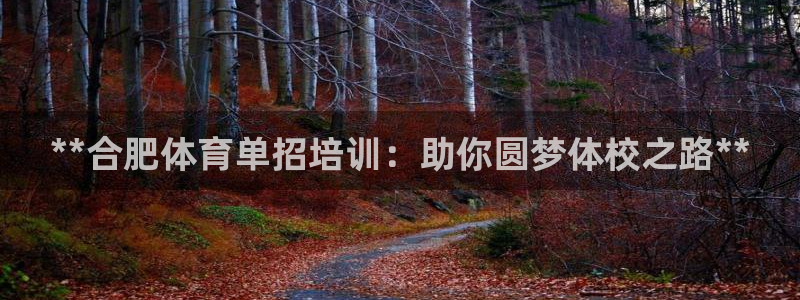 欧陆娱乐官网网址是什么：**合肥体育单招培训：助你圆