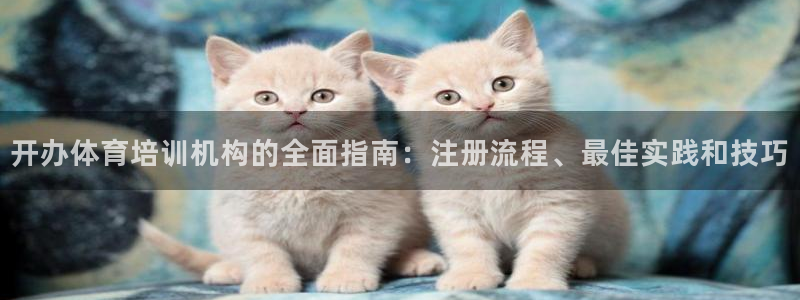 欧陆娱乐合法吗：开办体育培训机构的全面指南：注册流程
