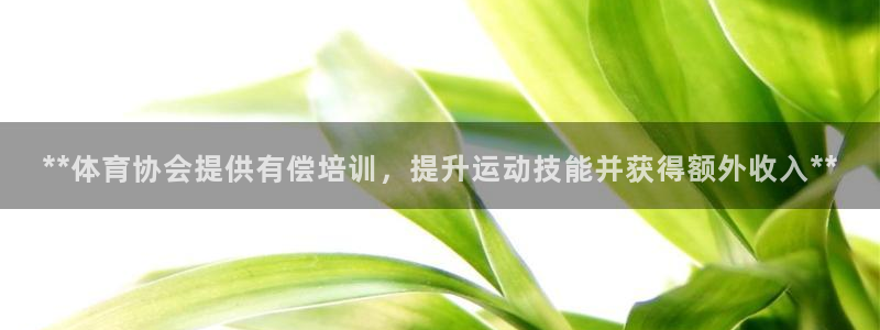 欧陆娱乐平台咋样赚钱的：**体育协会提供有偿培训，提