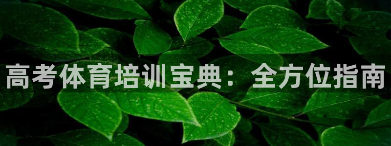 欧陆娱乐微信：高考体育培训宝典：全方位指南