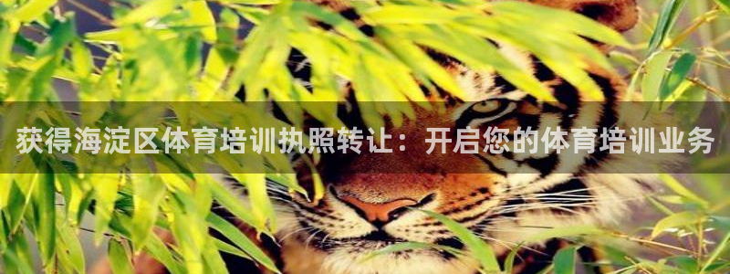 欧陆娱乐官网下载安装苹果：获得海淀区体育培训执照转让