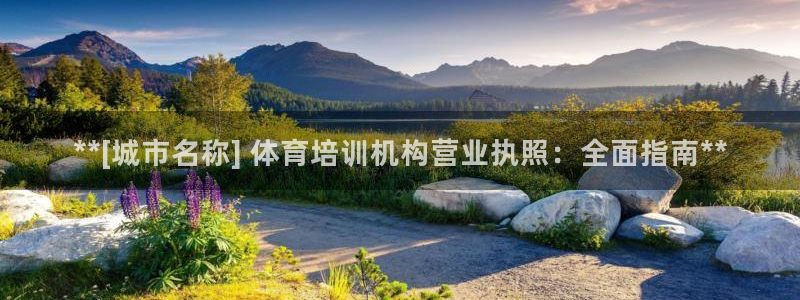 欧陆娱乐登录测速怎么关闭：**[城市名称] 体育培训