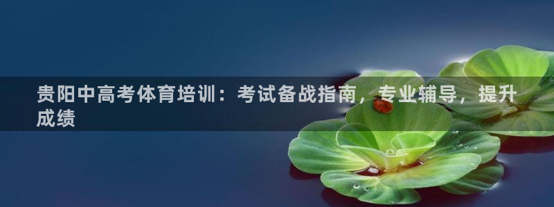 欧陆娱乐游戏特色：贵阳中高考体育培训：考试备战指南，