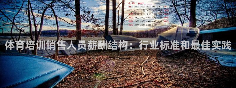 欧陆娱乐客服电话号码：体育培训销售人员薪酬结构：行业