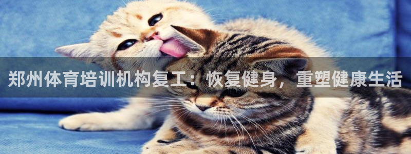 欧陆娱乐客服电话：郑州体育培训机构复工：恢复健身，重