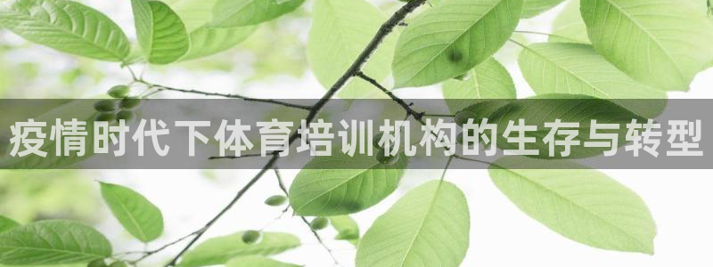 欧陆娱乐能提现嘛现在：疫情时代下体育培训机构的生存与