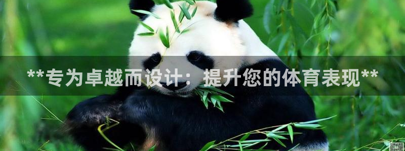 欧陆娱乐总代理：**专为卓越而设计：提升您的体育表现