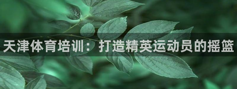 欧陆游戏平台：天津体育培训：打造精英运动员的摇篮