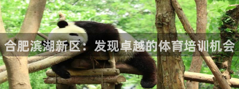 欧陆娱乐代理多少个点位啊：合肥滨湖新区：发现卓越的体