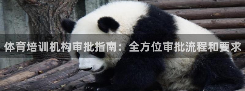 欧陆娱乐官网入口网址：体育培训机构审批指南：全方位审