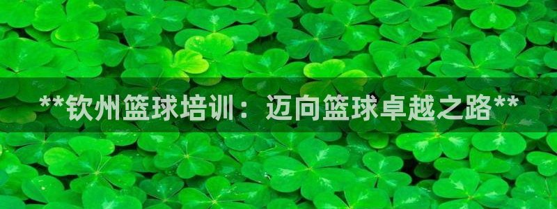 欧陆娱乐平台咋样赚钱的：**钦州篮球培训：迈向篮球卓