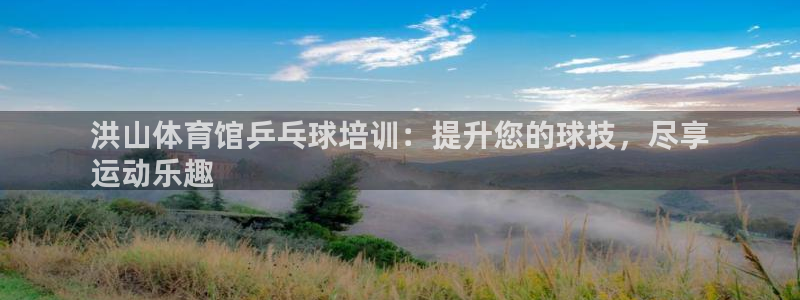 欧陆娱乐会员多少钱：洪山体育馆乒乓球培训：提升您的球