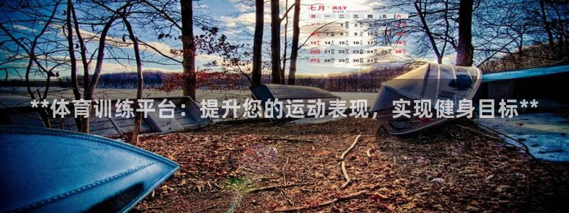 欧陆娱乐是什么：**体育训练平台：提升您的运动表现，