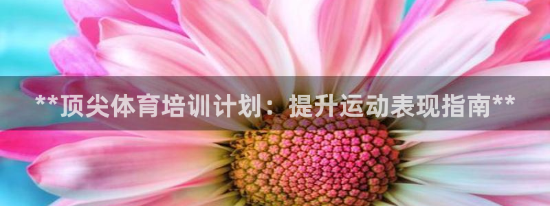 欧陆娱乐百科百度：**顶尖体育培训计划：提升运动表现