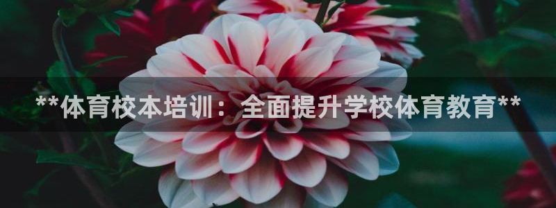 欧陆娱乐客服服务电话：**体育校本培训：全面提升学校