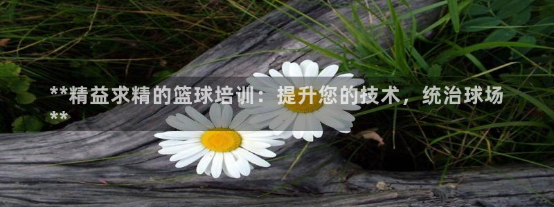 欧陆娱乐欢迎访问：**精益求精的篮球培训：提升您的技