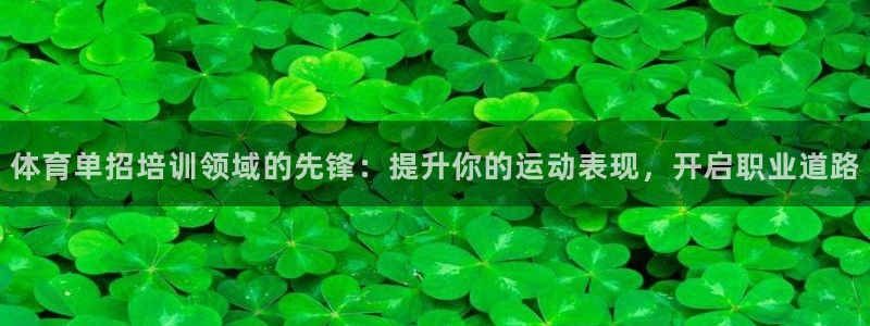 欧陆游戏平台：体育单招培训领域的先锋：提升你的运动表