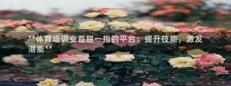 欧陆娱乐有限公司：**体育培训业首屈一指的平台：提升