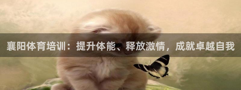欧陆商城：襄阳体育培训：提升体能、释放激情，成就卓越