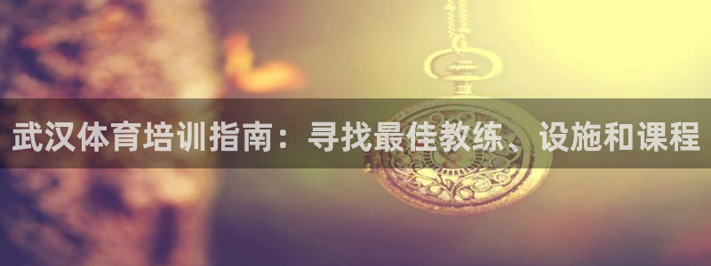 欧陆娱乐代理多少个点位可以赚钱：武汉体育培训指南：寻