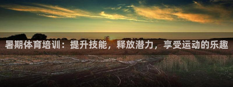 欧陆娱乐脚本：暑期体育培训：提升技能，释放潜力，享受运动的乐
