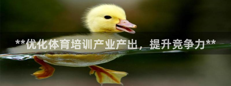 欧陆娱乐平台官网入口：**优化体育培训产业产出，提升