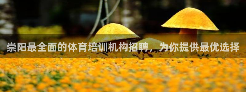 欧陆娱乐是正规平台吗安全吗知乎：崇阳最全面的体育培训